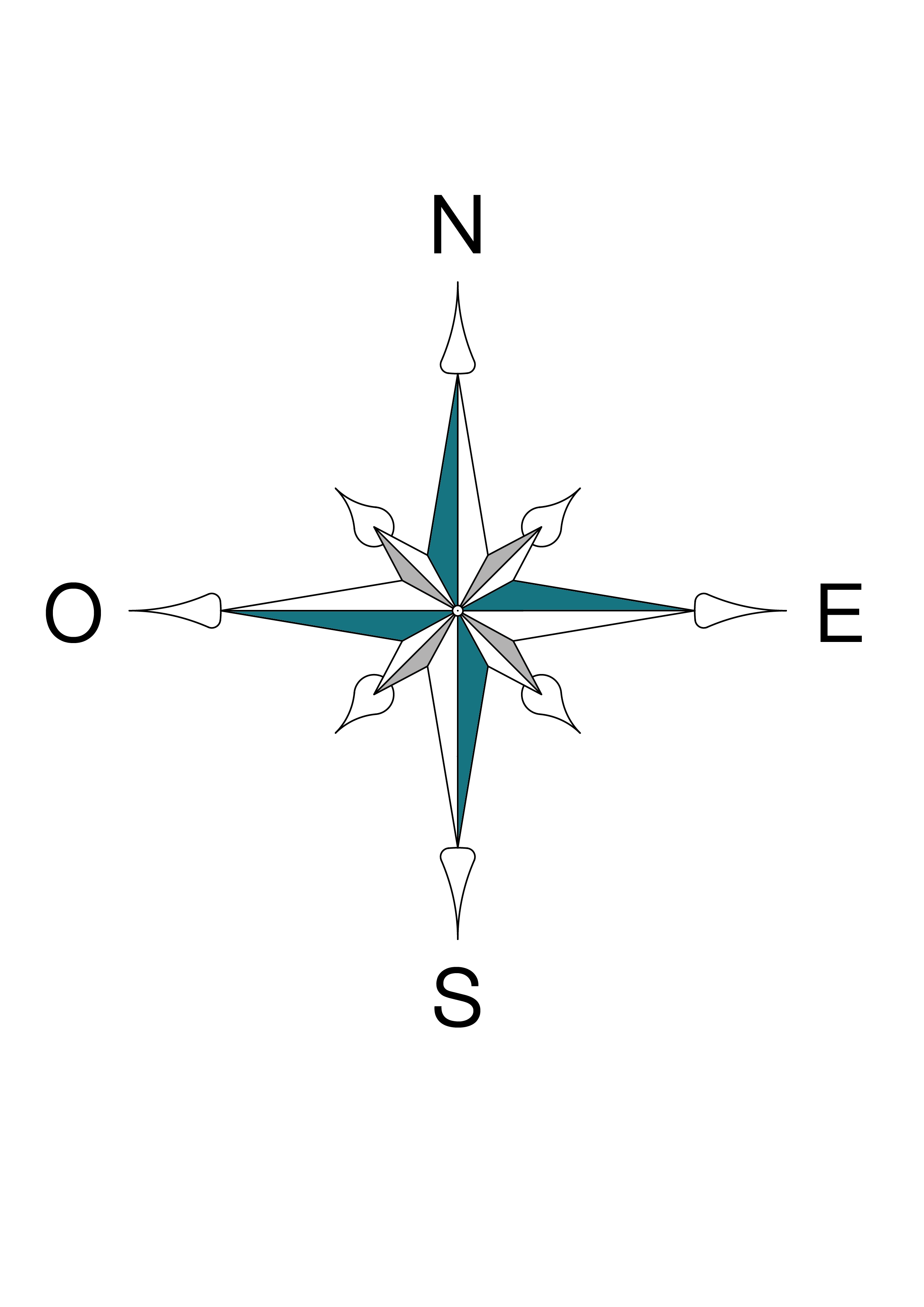 Topomed Logo
